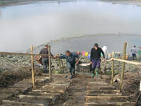 Peşte proaspăt pentru sărbători - crap, fitofag, amur